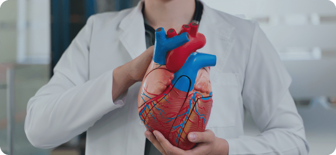Coronary heart disease: Find out the risks and how to treat it